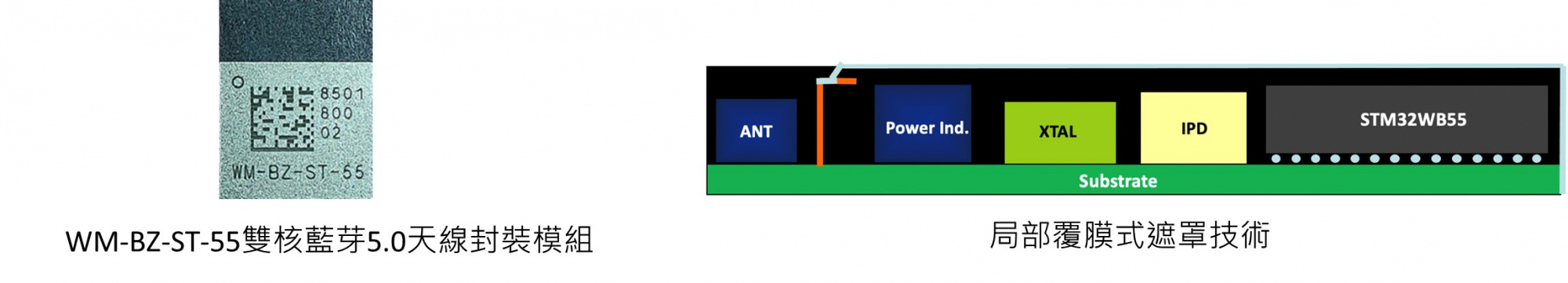 91香蕉网站在线